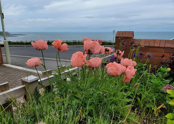 Sea Side Flat 3 With Fast Wifi And Free Parking